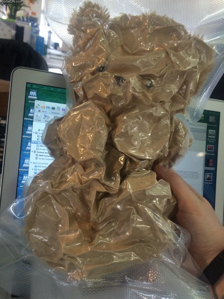 vacuum_packed_teddy_bear.jpg