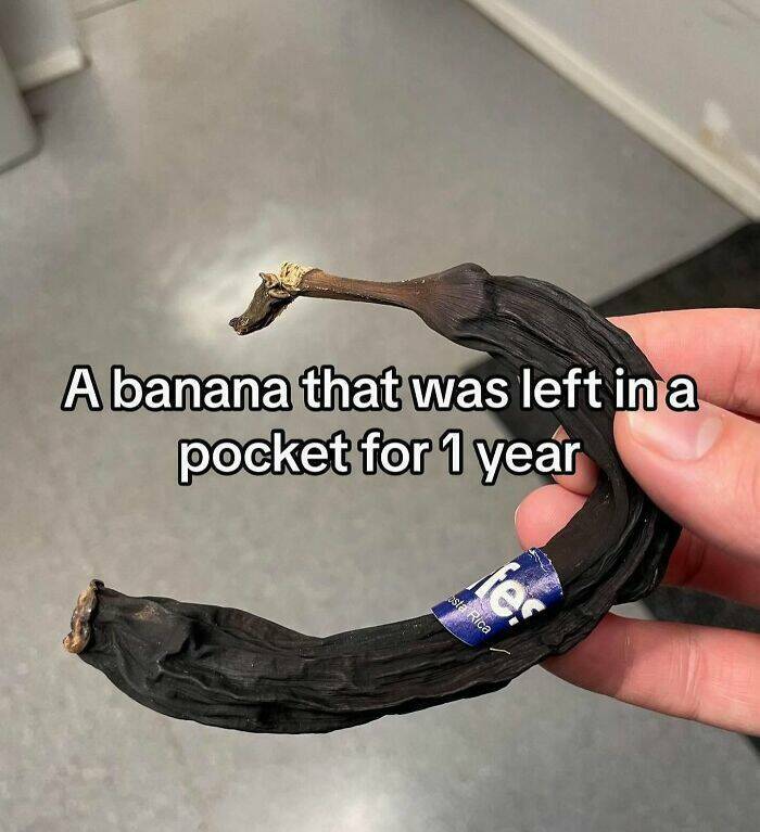 vahan_kutistu.jpg