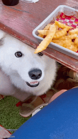 varas08.gif