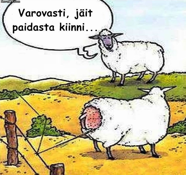 varovasti.jpg