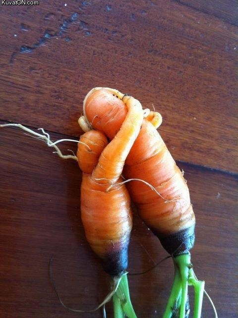 veg_love.jpg