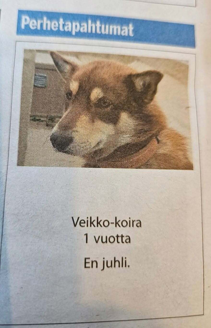 veikkoa_ei_kiinnosta.jpg