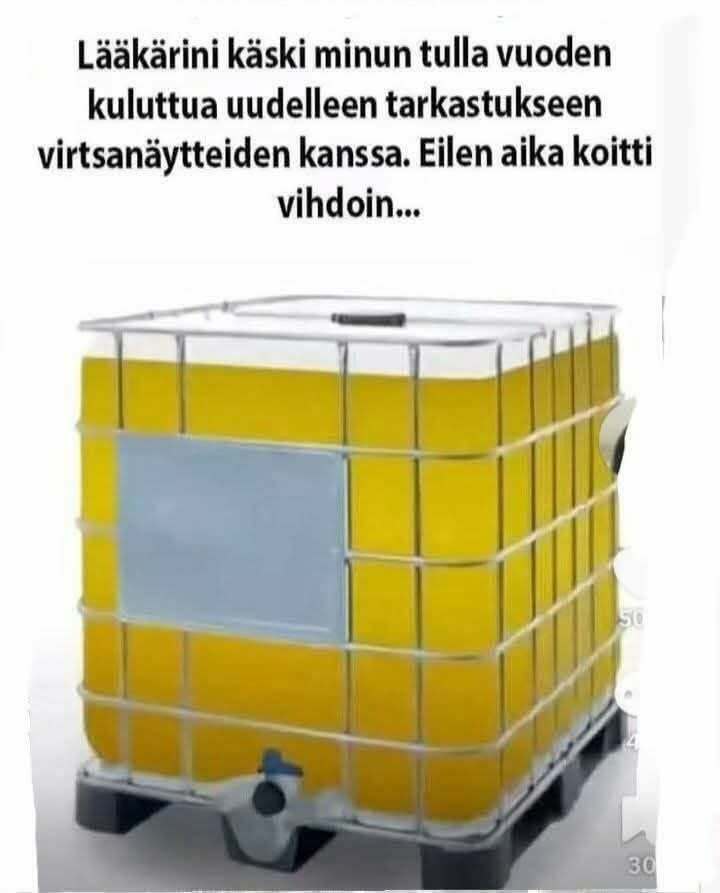 vihdoin3.jpg