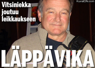vitsiniekka.jpg