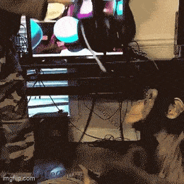 vrmonkey.gif