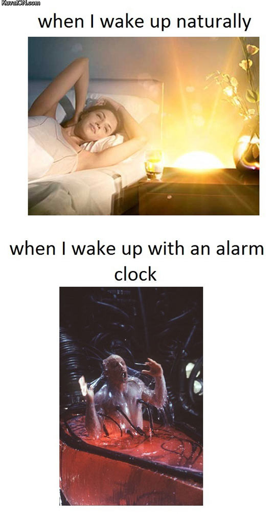 waking_up_naturally_vs_alarm_clock.jpg