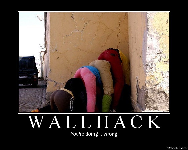 wallhack.jpg