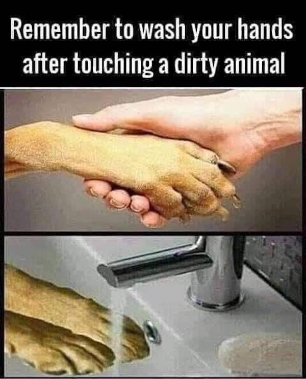 wash_your_hands2.jpg