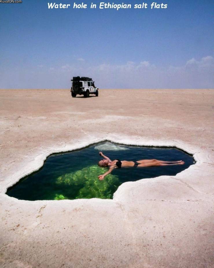 water_hole.jpg