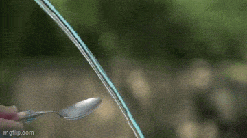 waterleaf.gif