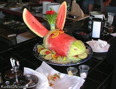 watermelon_donkey.jpg