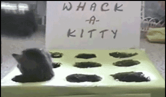 whack-a-kitty.gif