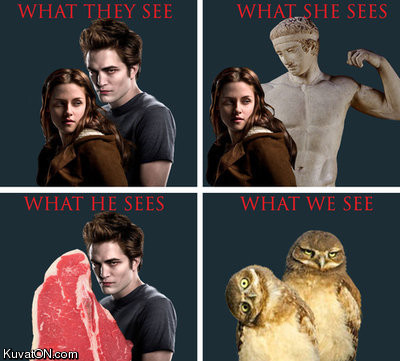 what_we_see.jpg