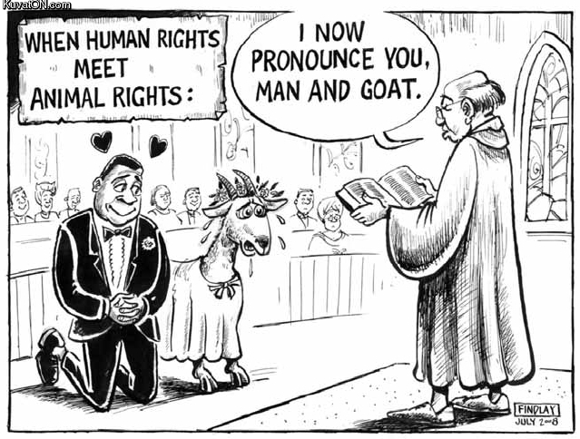 when_human_rights_meet_animal_rights.jpg