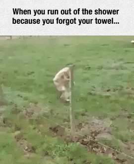 when_you_forget_your_towel.gif