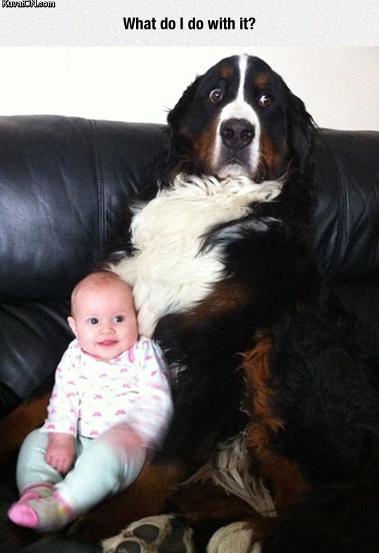 whenever_someone_hands_me_a_baby.jpg