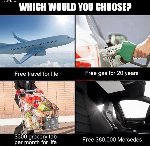 which_would_you_choose.jpg