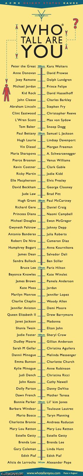 who_tall_are_you.jpg