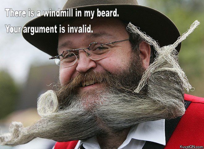 windmill_beard.jpg