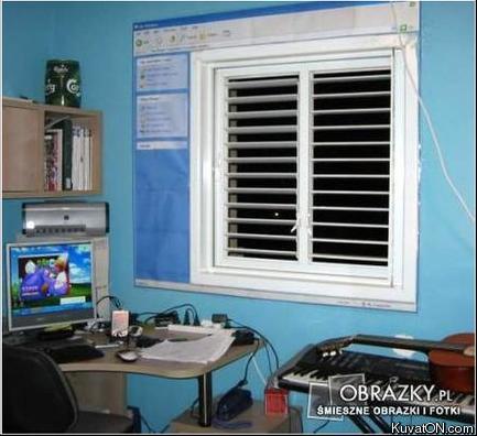 windows4.jpg