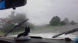 windshield_wipers_dont_work_no_problem.gif