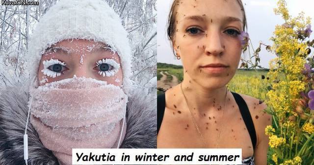 winter_vs_summer1.jpg