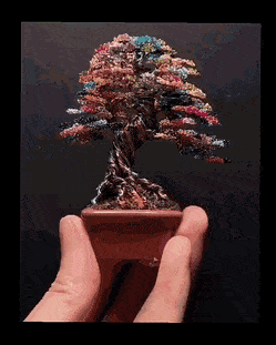 wire_bonsai_tree.gif