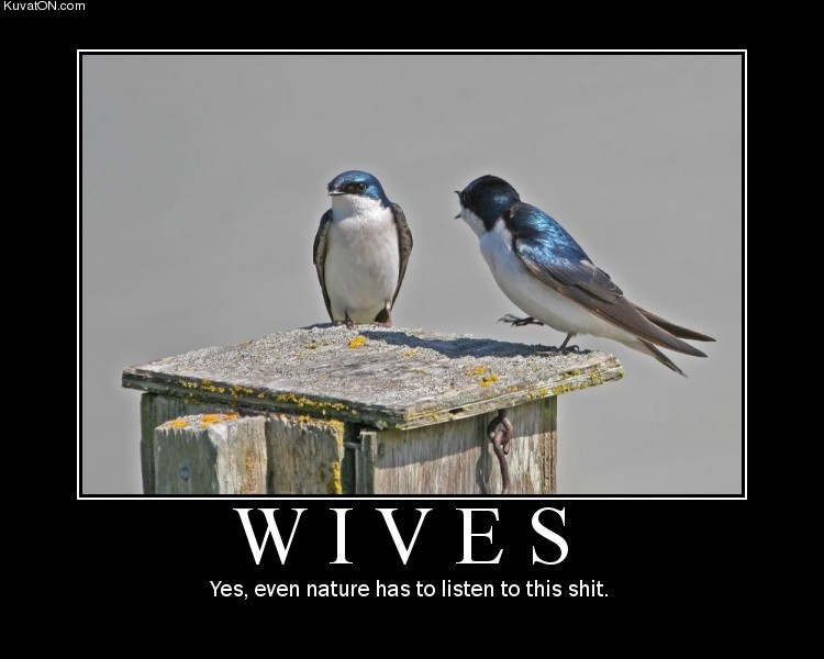 wives.jpg
