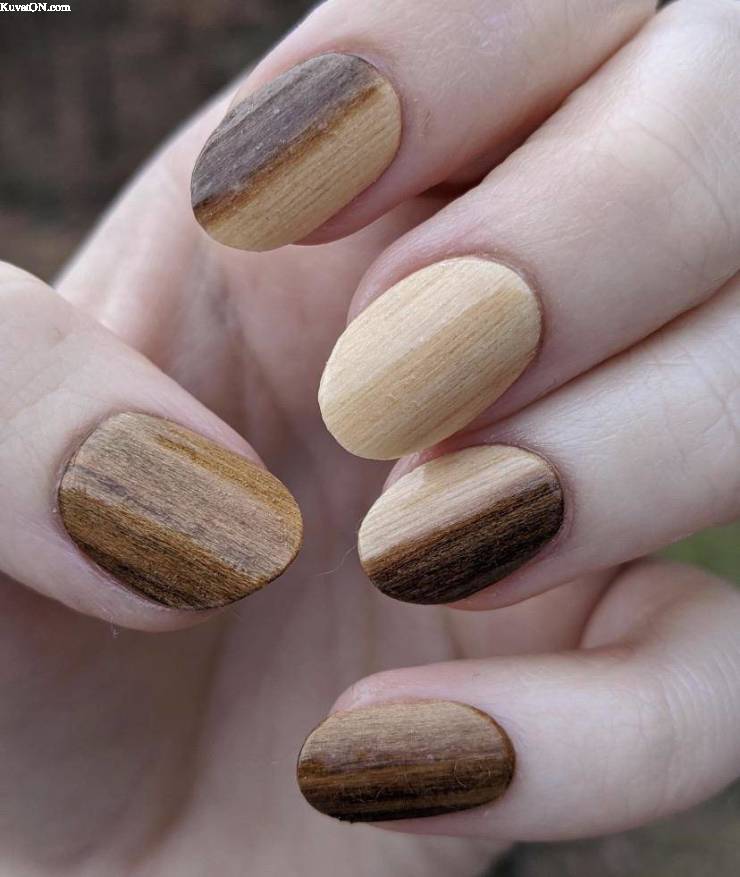 woodennails.jpg