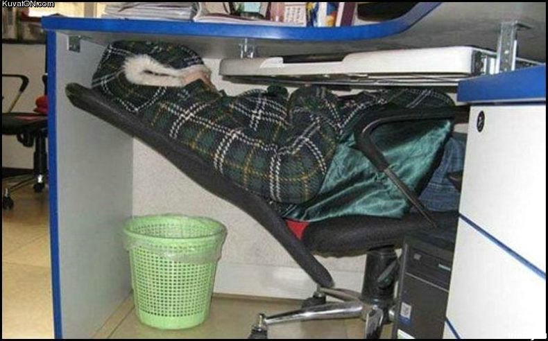 working_hard.jpg