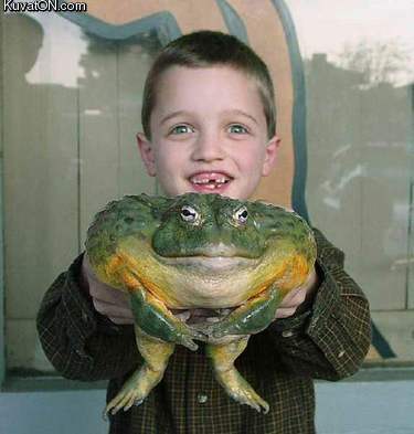 worlds_biggest_frog.jpeg