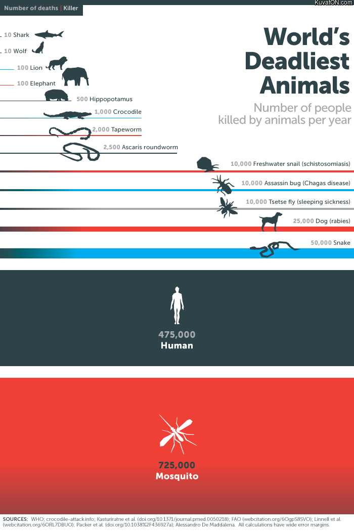 worlds_deadliest_animals.jpg