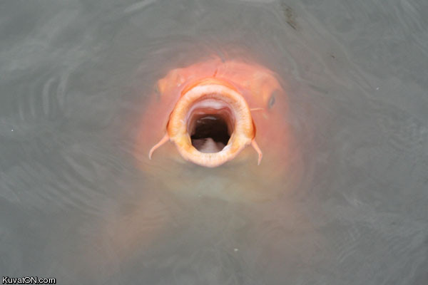 wormhole.jpg