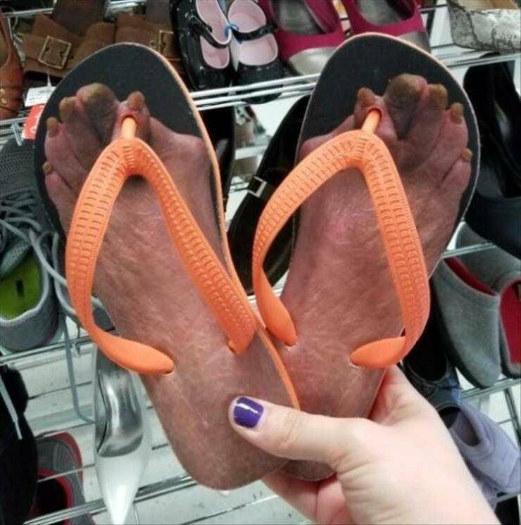 wtf017.jpg
