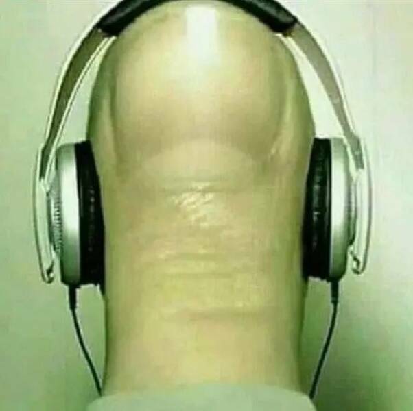 wtf0363.jpg