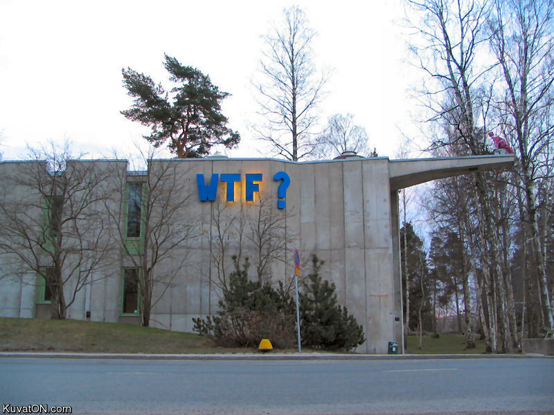 wtf4.jpg