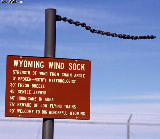 wyoming_wind_sock.jpg