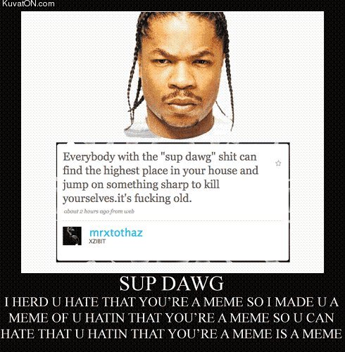 xzibitmeme.jpg