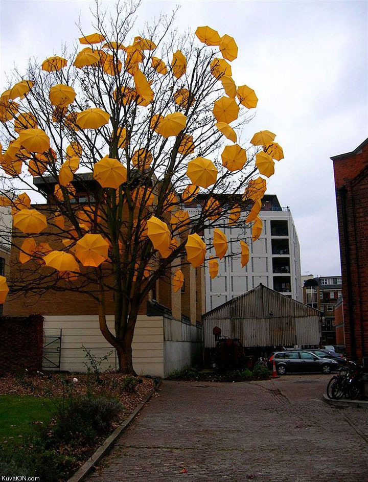 yellow_umbrella_tree.jpg