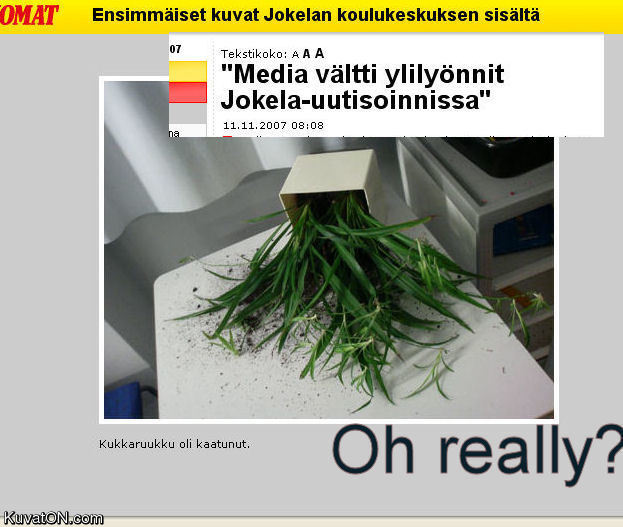 ylilyonti.jpg