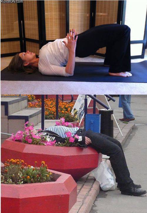 yoga.jpeg