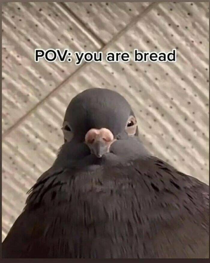 you_are_bread.jpg
