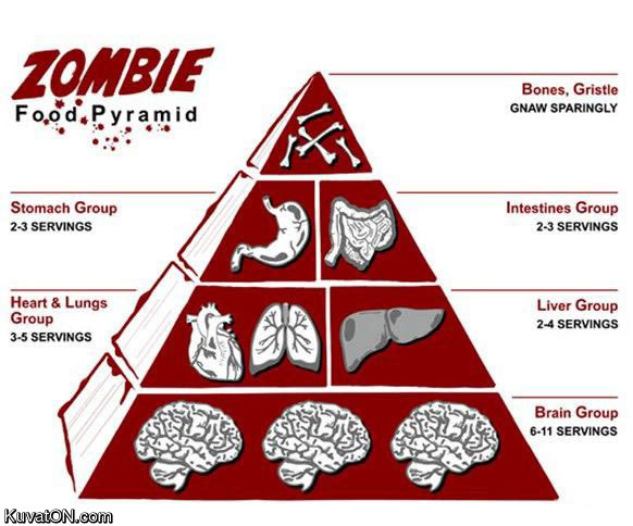 zombie_food_pyramid.jpg