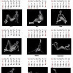 2011_tsa_calendar.jpg