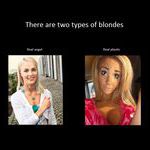 2_blondes.jpg