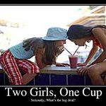 2_girls_1_cup.jpg