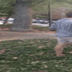 360_.gif