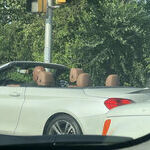5_bald_heads.jpg