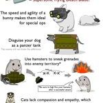 8_ways_to_prepare_your_pets_for_war.jpg