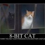 8bit_cat.jpg